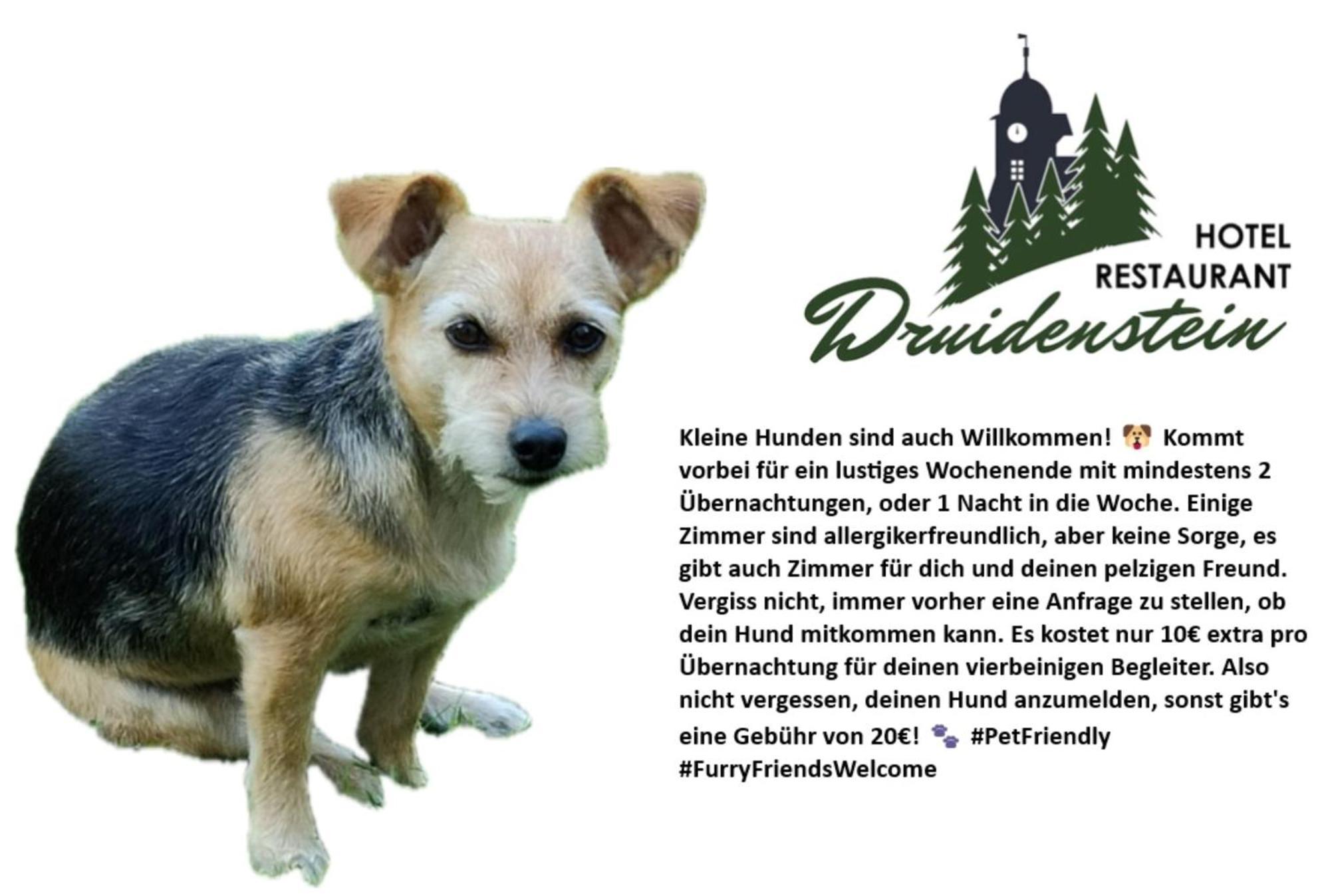 Hotel & Restaurant Druidenstein Trautenstein Luaran gambar